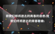 致我们即将逝去的青春的意思(致我们终将逝去的青春歌曲)
