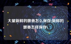 大量新鲜的嫩姜怎么保存(新鲜的嫩姜怎样保存)
