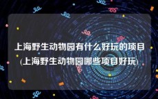 上海野生动物园有什么好玩的项目(上海野生动物园哪些项目好玩)