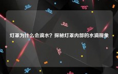 灯罩为什么会滴水？探秘灯罩内部的水滴现象