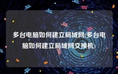 多台电脑如何建立局域网(多台电脑如何建立局域网交换机)
