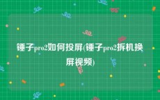 锤子pro2如何投屏(锤子pro2拆机换屏视频)