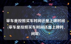 审车是按照买车时间还是上牌时间(审车是按照买车时间还是上牌时间呢)