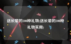送长辈的100种礼物(送长辈的100种礼物实用)