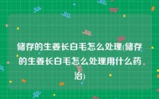 储存的生姜长白毛怎么处理(储存的生姜长白毛怎么处理用什么药治)