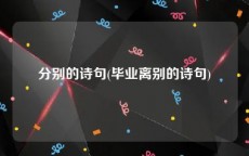 分别的诗句(毕业离别的诗句)