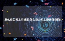 怎么查公司上市进度(怎么查公司上市进度查询)