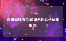 莆田潮鞋清仓(莆田系的鞋子在哪里买)