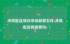 净菜配送项目市场前景怎样(净菜配送有前景吗)