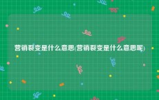 营销裂变是什么意思(营销裂变是什么意思呢)
