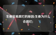 生姜容易腐烂的原因(生姜为什么会腐烂)