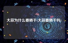 大蒜为什么要晒干(大蒜要晒干吗)