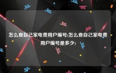 怎么查自己家电费用户编号(怎么查自己家电费用户编号是多少)