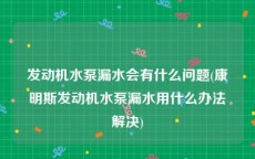 发动机水泵漏水会有什么问题(康明斯发动机水泵漏水用什么办法解决)