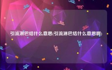 引流淋巴结什么意思(引流淋巴结什么意思啊)