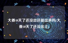大姜40天了还没出还能出来吗(大姜40天了还没出土)