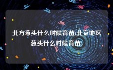 北方葱头什么时候育苗(北京地区葱头什么时候育苗)