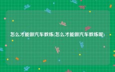 怎么才能做汽车教练(怎么才能做汽车教练呢)