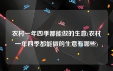 农村一年四季都能做的生意(农村一年四季都能做的生意有哪些)