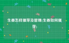 生姜怎样催芽及管理(生姜如何催芽)