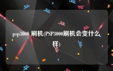 psp3000 刷机(PSP3000刷机会变什么样)