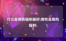 什么盆栽防辐射最好(哪些盆栽防辐射)