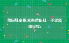 莆田鞋拿货渠道(莆田鞋一手货源哪里找)