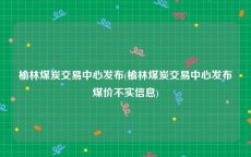 榆林煤炭交易中心发布(榆林煤炭交易中心发布煤价不实信息)