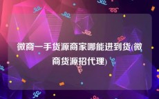 微商一手货源商家哪能进到货(微商货源招代理)