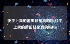 快手上卖的莆田鞋是真的吗(快手上卖的莆田鞋是真的吗吗)