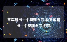 审车超出一个星期会怎样(审车超出一个星期会怎样啊)