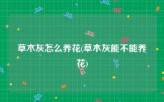 草木灰怎么养花(草木灰能不能养花)