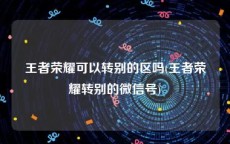 王者荣耀可以转别的区吗(王者荣耀转别的微信号)