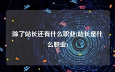 除了站长还有什么职业(站长是什么职业)
