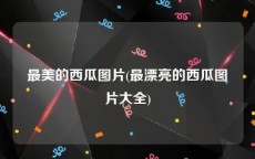 最美的西瓜图片(最漂亮的西瓜图片大全)