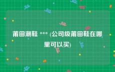 莆田潮鞋 *** (公司级莆田鞋在哪里可以买)