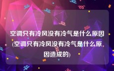 空调只有冷风没有冷气是什么原因(空调只有冷风没有冷气是什么原因造成的)