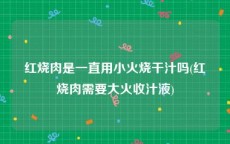 红烧肉是一直用小火烧干汁吗(红烧肉需要大火收汁液)