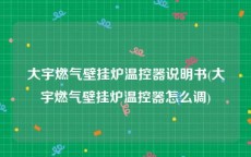 大宇燃气壁挂炉温控器说明书(大宇燃气壁挂炉温控器怎么调)