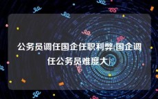 公务员调任国企任职利弊(国企调任公务员难度大)