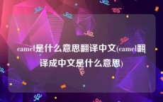 camel是什么意思翻译中文(camel翻译成中文是什么意思)