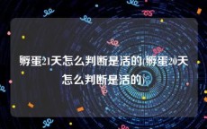 孵蛋21天怎么判断是活的(孵蛋20天怎么判断是活的)