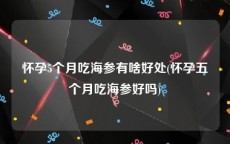 怀孕5个月吃海参有啥好处(怀孕五个月吃海参好吗)