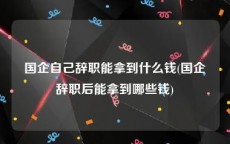 国企自己辞职能拿到什么钱(国企辞职后能拿到哪些钱)