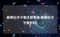 姜埋在沙子里注意事项(姜埋在沙子里好吗)