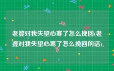 老婆对我失望心寒了怎么挽回(老婆对我失望心寒了怎么挽回的话)