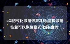 u盘格式化数据恢复乱码(易极数据恢复可以恢复格式化的u盘吗)