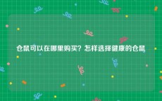 仓鼠可以在哪里购买？怎样选择健康的仓鼠