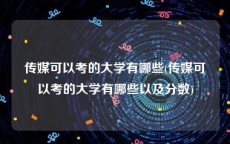 传媒可以考的大学有哪些(传媒可以考的大学有哪些以及分数)