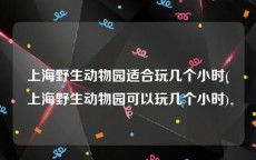 上海野生动物园适合玩几个小时(上海野生动物园可以玩几个小时)